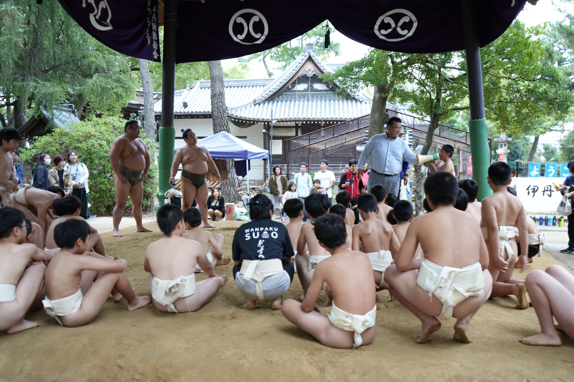 DSC03503-1980x1320.jpg